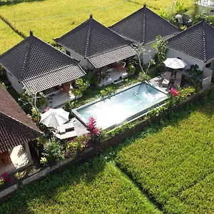 https://paraiso-cottage-ubud.ubudhotelsnow.com